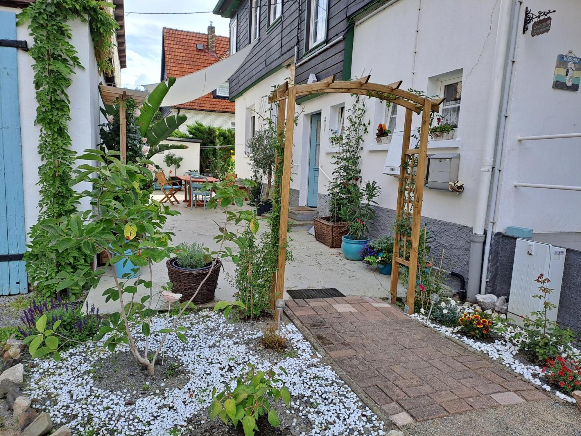 Cozy Apartment Altenbrak Dış mekan fotoğraf