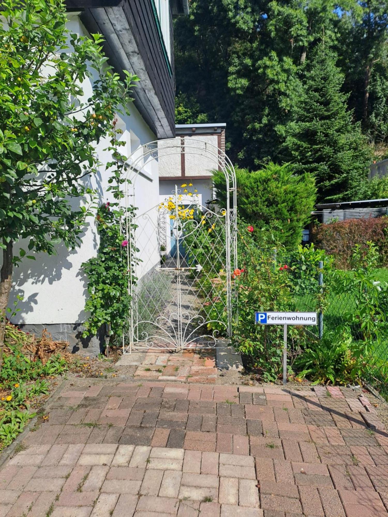 Cozy Apartment Altenbrak Dış mekan fotoğraf